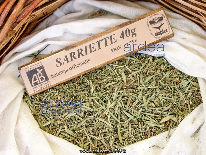  : Dry plant (Satureja officinalis) for infusion with
