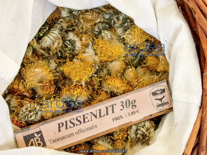 : Dry plant (Taraxacum officinalis) for infusion with : Dry plant (Taraxacum officinalis) for infusion with