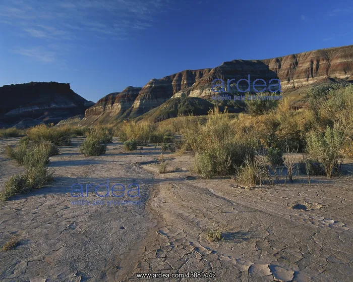 : Dry Wash, Arizona : Dry Wash, Arizona
