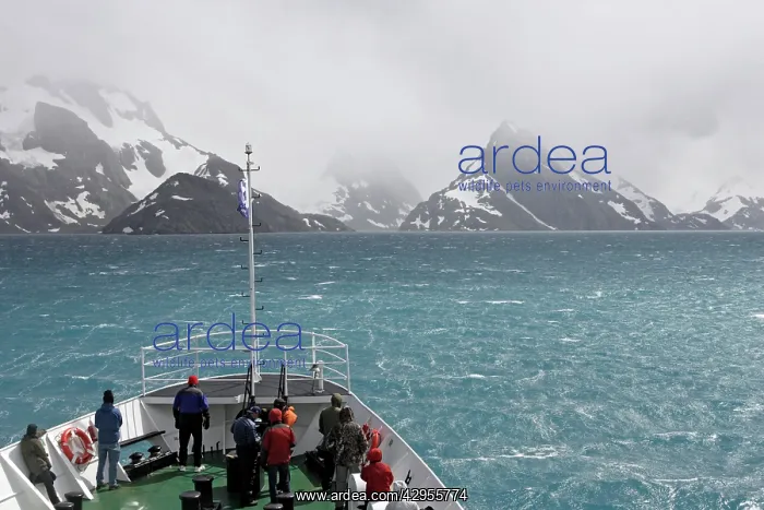 : Drygalski fjord glacier : Drygalski fjord glacier