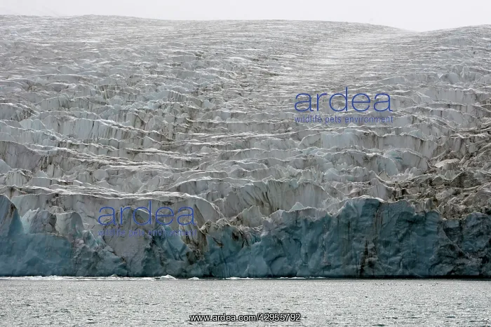 : Drygalski fjord Ristinge glacier : Drygalski fjord Ristinge glacier
