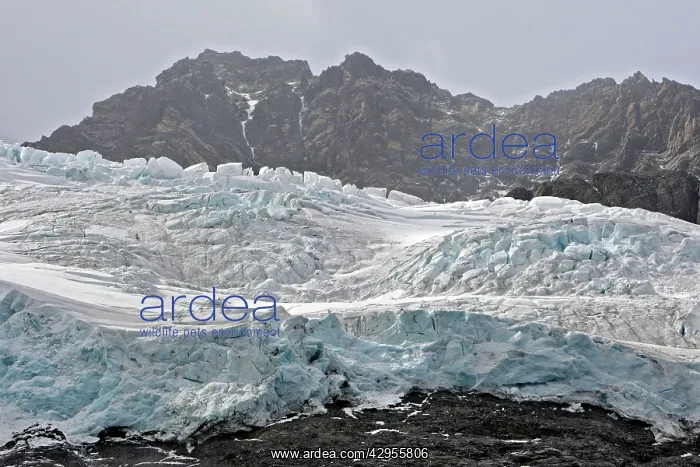 : Drygalski fjord - Ristinge Glacier : Drygalski fjord - Ristinge Glacier
