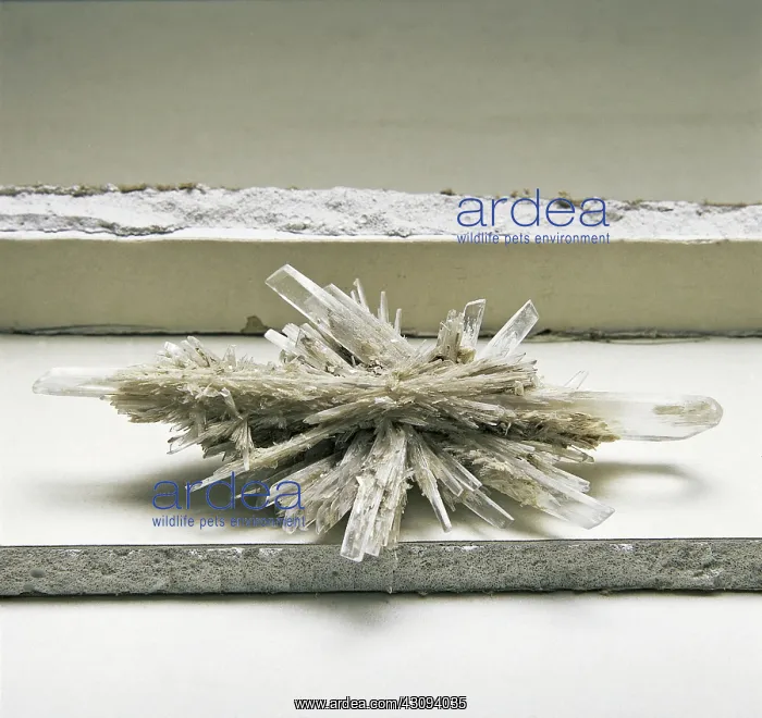 : Drywall and Gypsum : Drywall and Gypsum