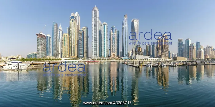 : Dubai Marina and Harbour Skyline Architecture Luxury : Dubai Marina and Harbour Skyline Architecture Luxury