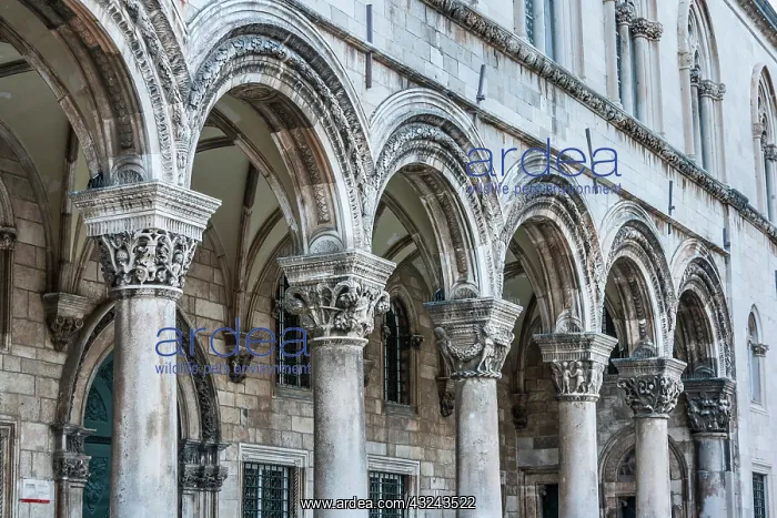 : Dubrovnik, Croatia. Ornate columns at Sponza Palace : Dubrovnik, Croatia. Ornate columns at Sponza Palace