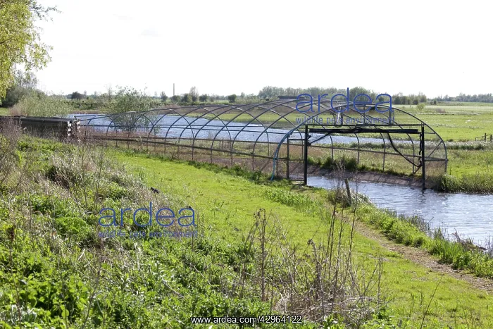 : Duck Decoy - Wildfowl & Wetlands Trust : Duck Decoy - Wildfowl & Wetlands Trust