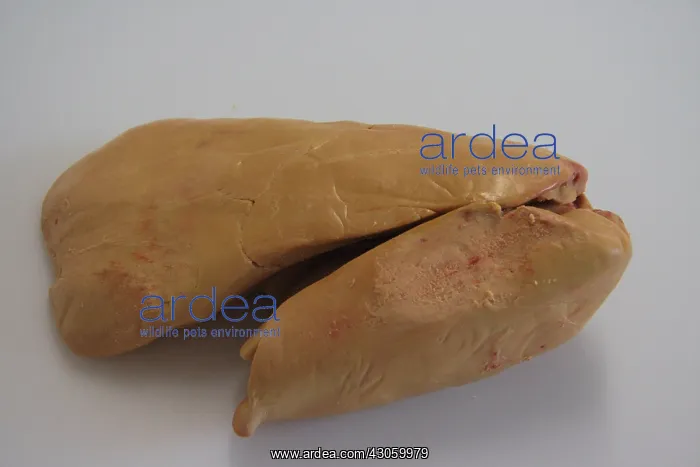 : Whole duck foie gras and vintage : Whole duck foie gras and vintage
