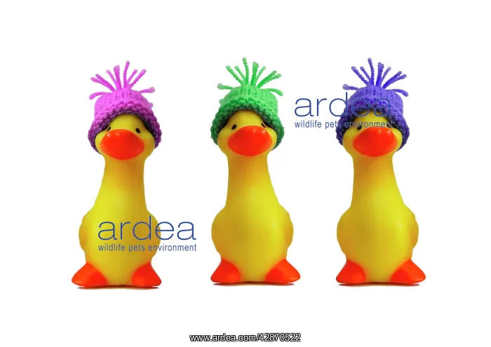  : Ducklings - in wooly hats