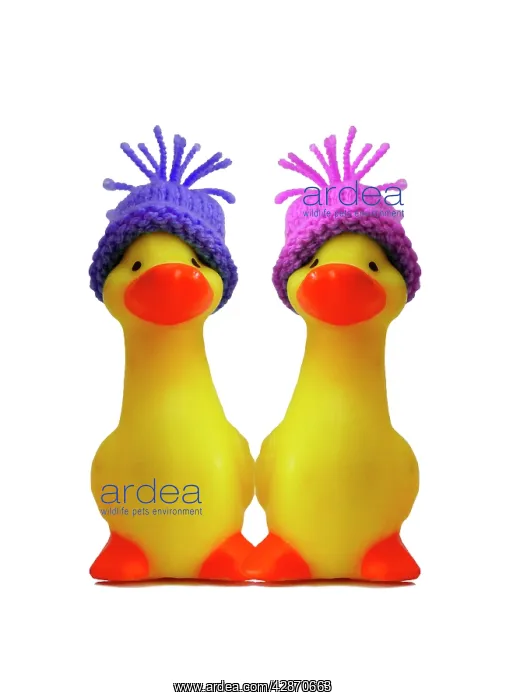  : Ducklings - in wooly hats