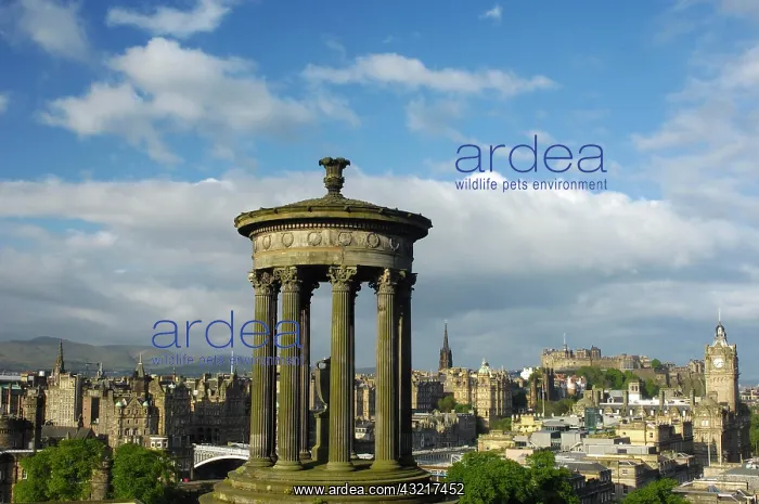 : Dugald Stewart Monument and Princes Street at back : Dugald Stewart Monument and Princes Street at back