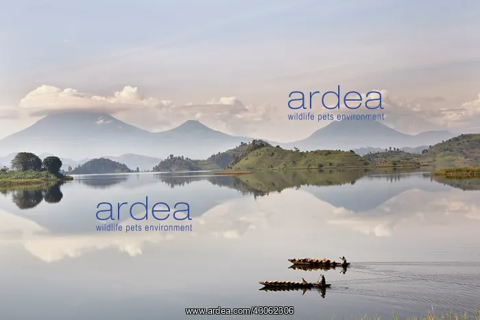: Dugout canoe floating on Lake Mutanda with : Dugout canoe floating on Lake Mutanda with