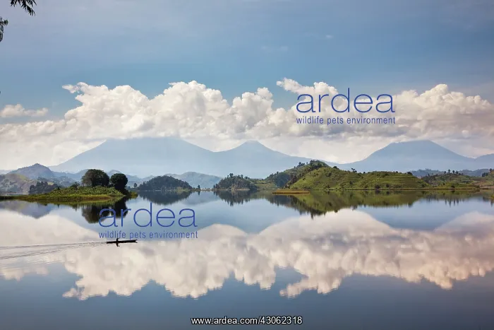 : Dugout canoe floating on Lake Mutanda with : Dugout canoe floating on Lake Mutanda with