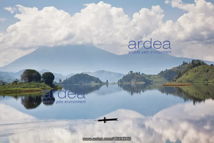 : Dugout canoe floating on Lake Mutanda with : Dugout canoe floating on Lake Mutanda with
