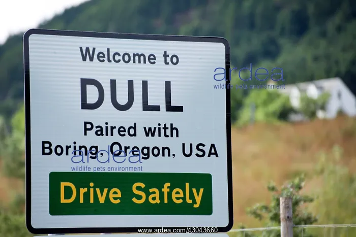 : Dull town Sign for the town of Dull, paired with : Dull town Sign for the town of Dull, paired with