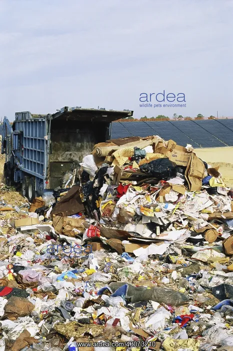 : Dumping Garbage : Dumping Garbage