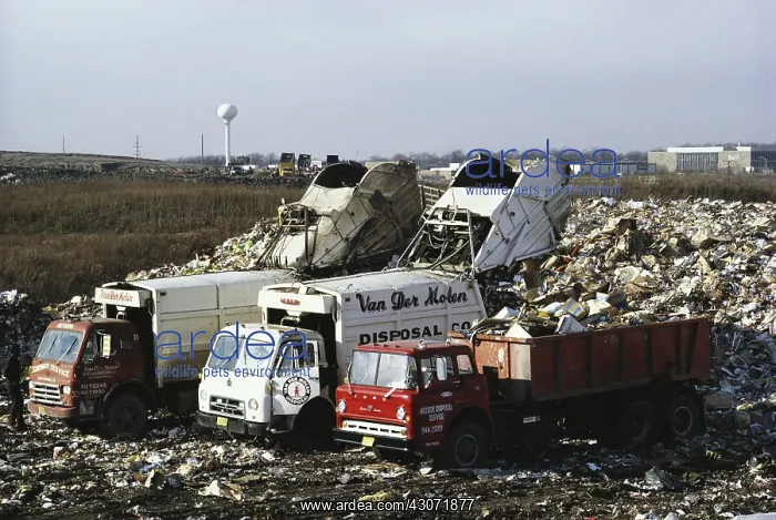 : Dumping Garbage in Landfill : Dumping Garbage in Landfill