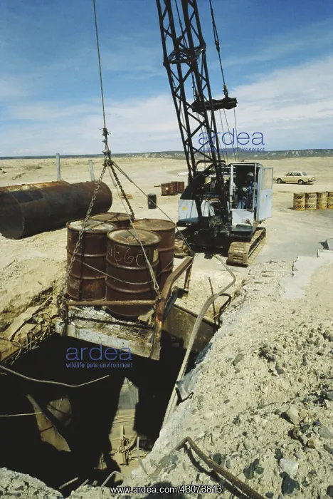 : Dumping Hazardous Waste : Dumping Hazardous Waste