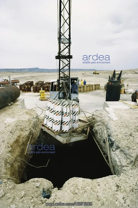 : Dumping Hazardous Waste : Dumping Hazardous Waste