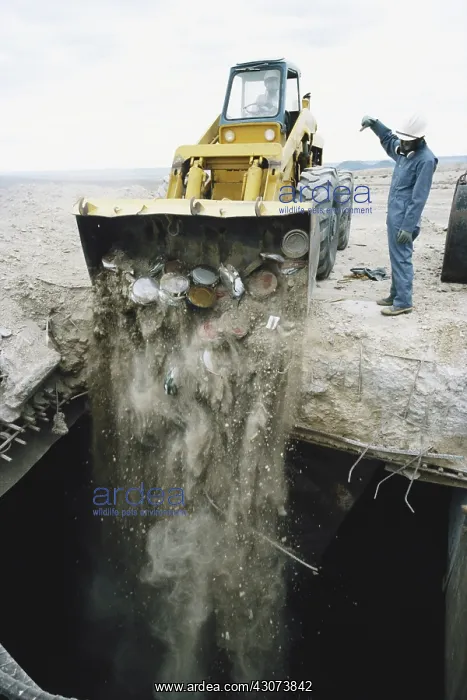 : Dumping Hazardous Waste : Dumping Hazardous Waste