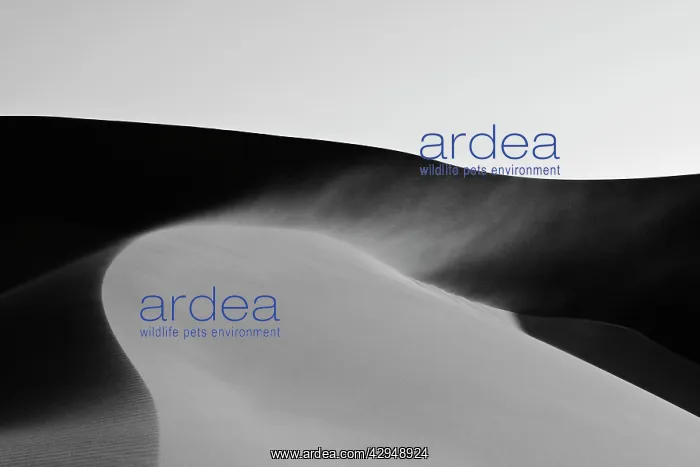  : Dune Fields - Namib Desert