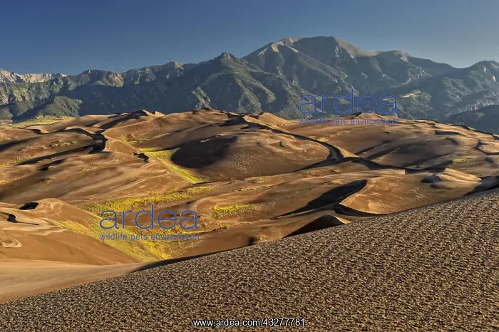 : Dune landscape, Great Sand Dunes National Park : Dune landscape, Great Sand Dunes National Park