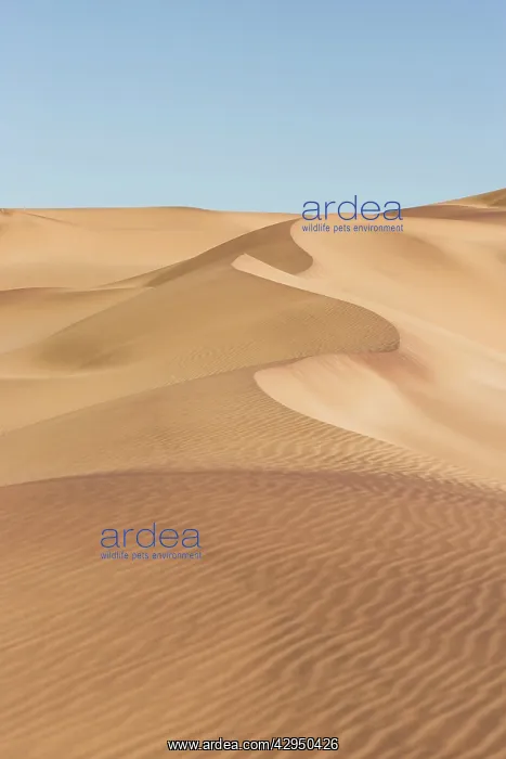 : Dune Shapes and ripples : Dune Shapes and ripples