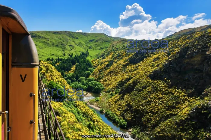 : Dunedin Railways tour of the Taieri Gorge, Otago : Dunedin Railways tour of the Taieri Gorge, Otago