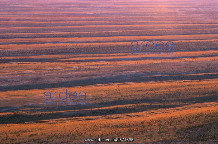 : Dunefields : Dunefields