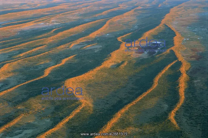 : Dunefields, Longitudinal sand dunes over alluvial : Dunefields, Longitudinal sand dunes over alluvial