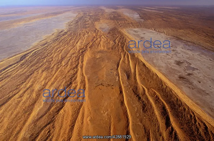 : Dunefields & Salt Lakes (playas) : Dunefields & Salt Lakes (playas)