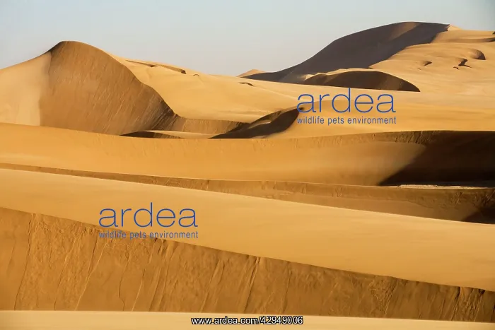 : Dunes in the afternoon : Dunes in the afternoon