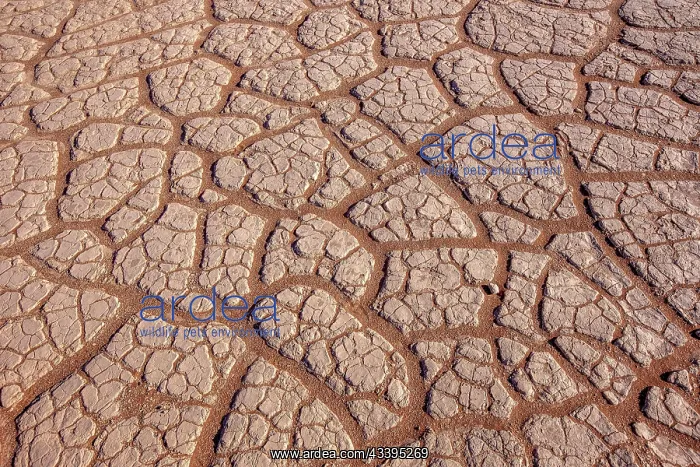 : DUNES DEADVLEI : DUNES DEADVLEI