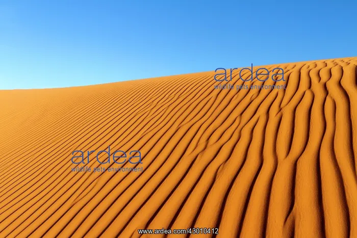  : Dunes with ripple marks