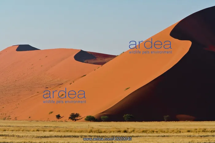 : Dunes at Sossusvlei, Namib-Nauklift NP : Dunes at Sossusvlei, Namib-Nauklift NP