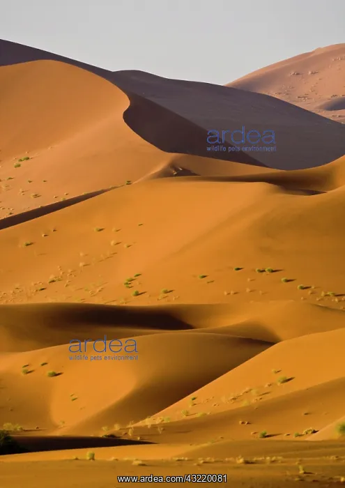  : Dunes at Sossusvlei, Namib-Nauklift NP