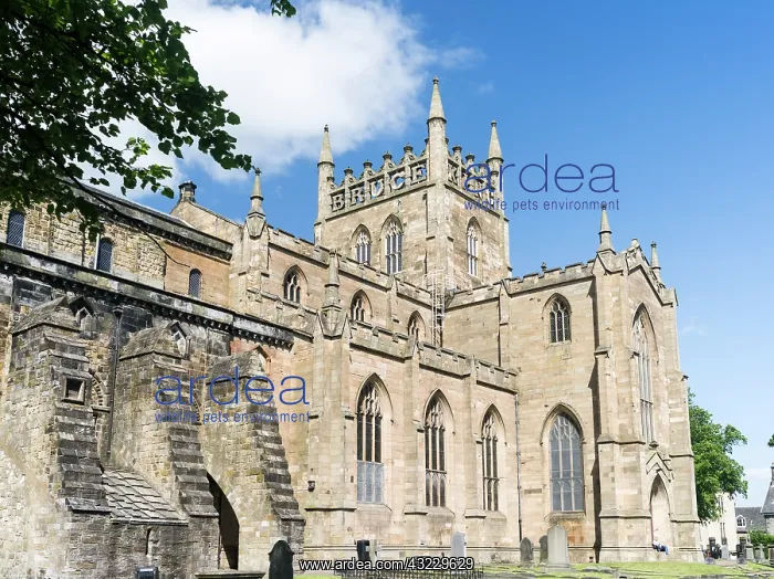: Dunfermline Abbey, one of the great cultural : Dunfermline Abbey, one of the great cultural