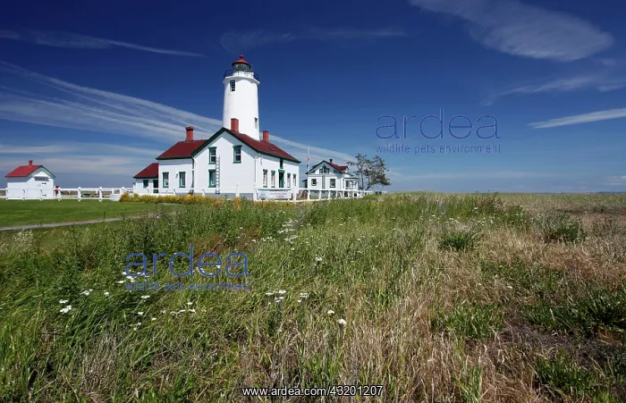 : Dungeness Lighthouse on the sandspit of Olympic : Dungeness Lighthouse on the sandspit of Olympic