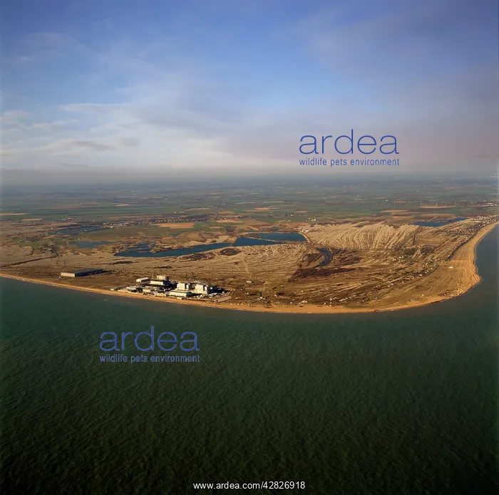 : Dungeness Nuclear Power Station (Stations), Dungeness : Dungeness Nuclear Power Station (Stations), Dungeness