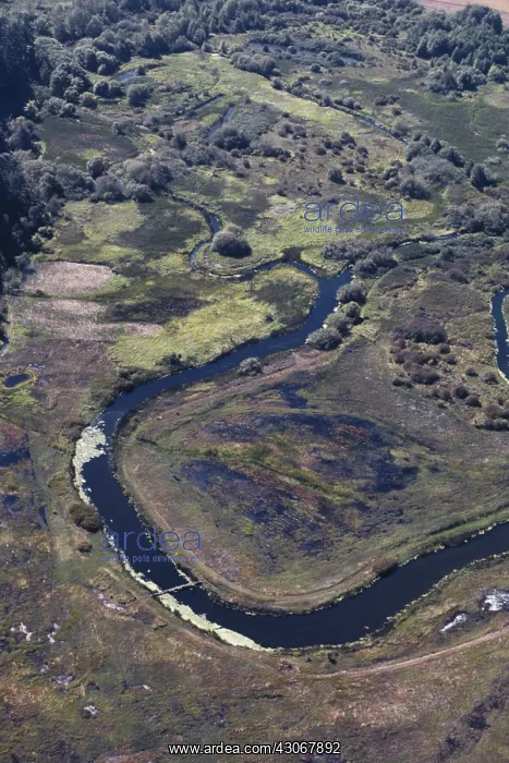 : Dungeness River Delta : Dungeness River Delta