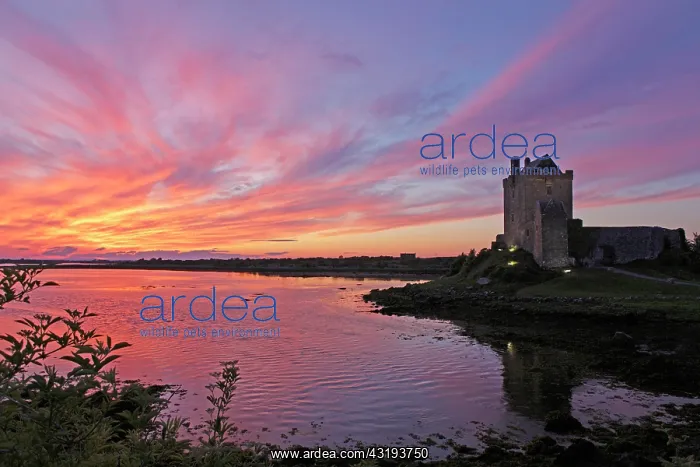 : Dunguaire Castle, County Galway, Kinvara, Ireland : Dunguaire Castle, County Galway, Kinvara, Ireland