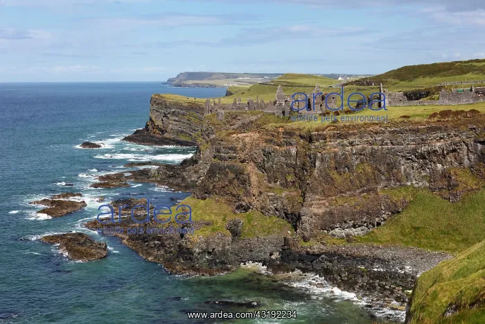 : Dunluce Castle, Antrim Coast, County Antrim, Northern : Dunluce Castle, Antrim Coast, County Antrim, Northern