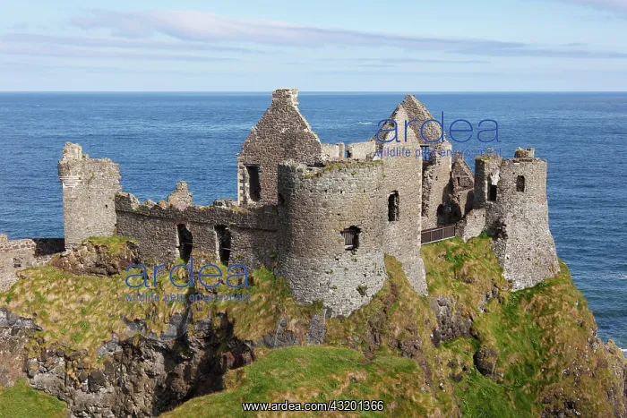 : Dunluce Castle, Antrim Coast, County Antrim, Northern : Dunluce Castle, Antrim Coast, County Antrim, Northern