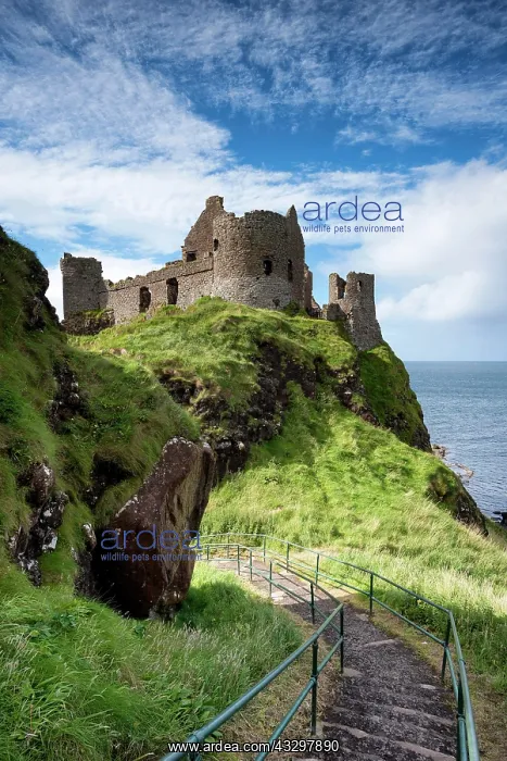 : Dunluce Castle on the Atlantic Coast, Portrush : Dunluce Castle on the Atlantic Coast, Portrush