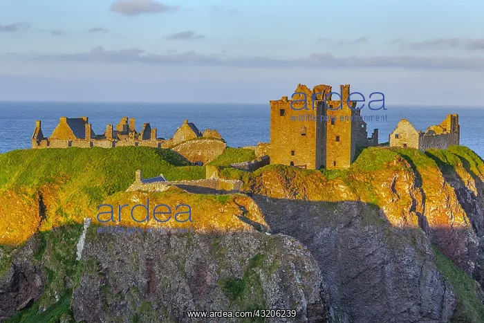 : Dunnottar Castle - famous historic castle ruin sitting : Dunnottar Castle - famous historic castle ruin sitting