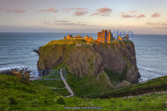: Dunnottar Castle - famous historic castle ruin sitting : Dunnottar Castle - famous historic castle ruin sitting