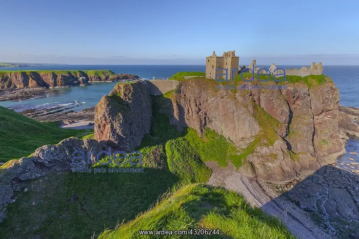 : Dunnottar Castle - famous historic castle ruin sitting : Dunnottar Castle - famous historic castle ruin sitting