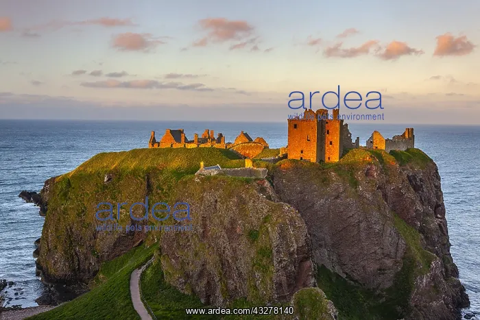 : Dunnottar Castle - famous historic castle ruin sitting : Dunnottar Castle - famous historic castle ruin sitting