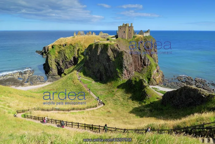 : Dunnottar Castle, Scotland, Great Britain, Europe : Dunnottar Castle, Scotland, Great Britain, Europe