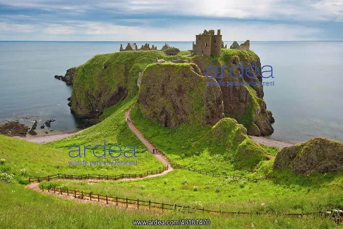 : Dunnottar Castle, Stonehaven, Aberdeenshire, Scotland : Dunnottar Castle, Stonehaven, Aberdeenshire, Scotland