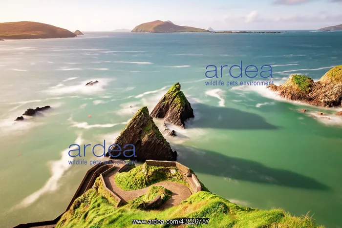 : Dunquin Pier on Slea Head Drive, Dingle Peninsula : Dunquin Pier on Slea Head Drive, Dingle Peninsula